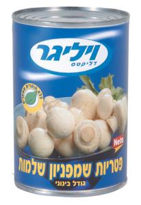 פטריות שלם 8ZO ויל